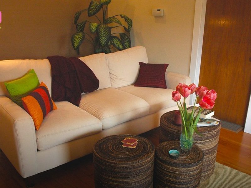 The Home as Sanctuary: 2026's Wellness-First Interior Trends